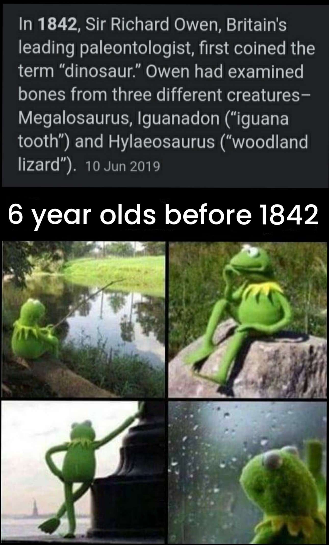 Kermit waiting meme 6 year olds no dinosaur term before 1842
