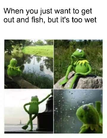 Kermit Waiting meme wants to fish but too wet