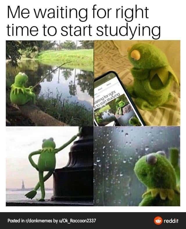 Kermit waiting meme waiting for right time to start studying