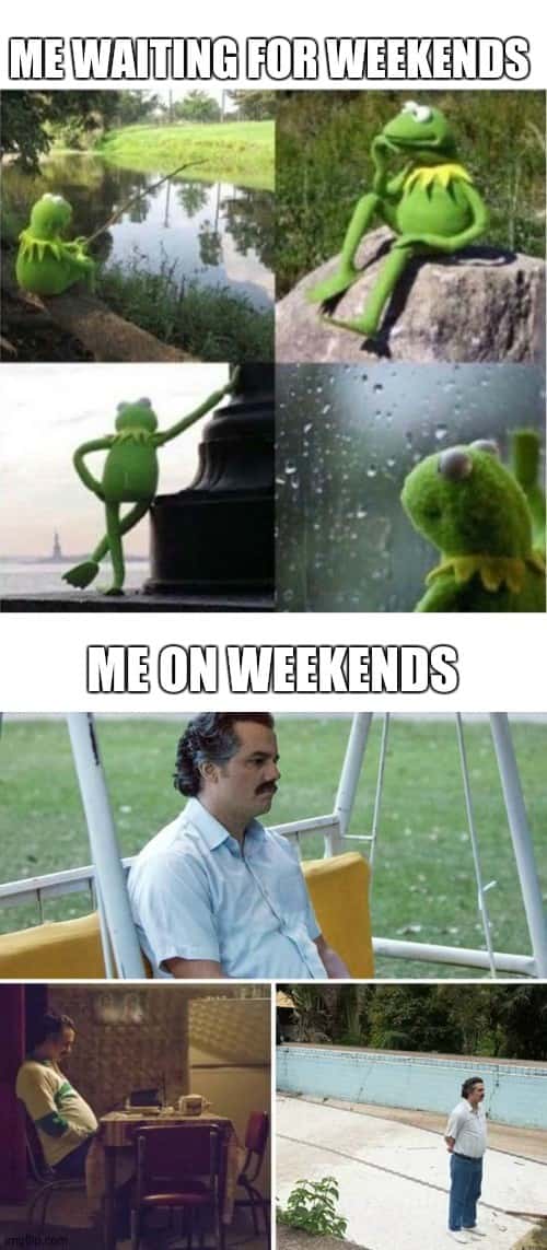 Kermit waiting meme sad on weekends