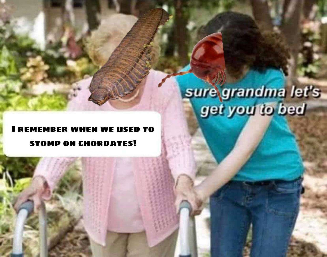 Sure grandma meme recalls stomping on chordates