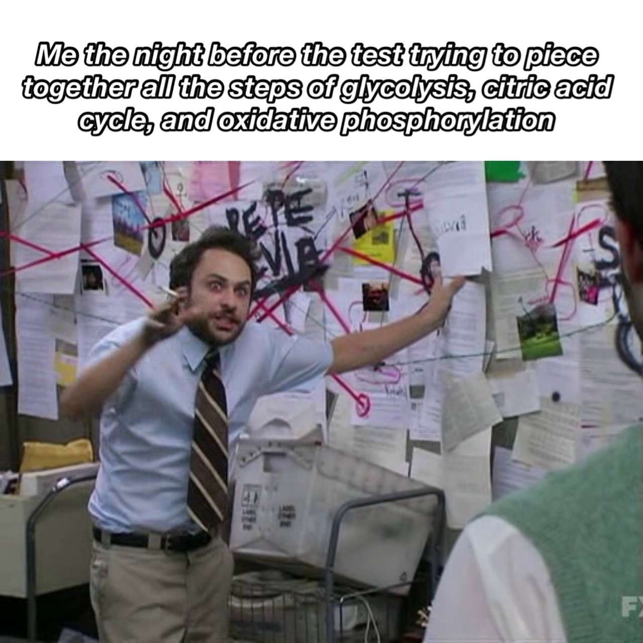 Pepe Silvia meme cramming for biochem test