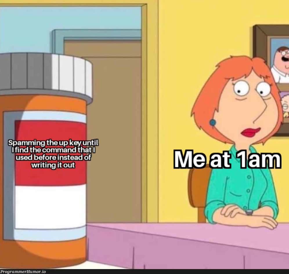 Lois griffin pills meme spamming up key at 1am