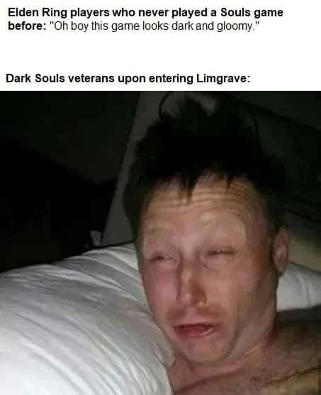 Limmy waking up meme dark souls veterans relieved at limgrave