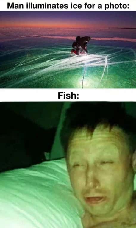 Limmy waking up meme fish blinded by ice photo light