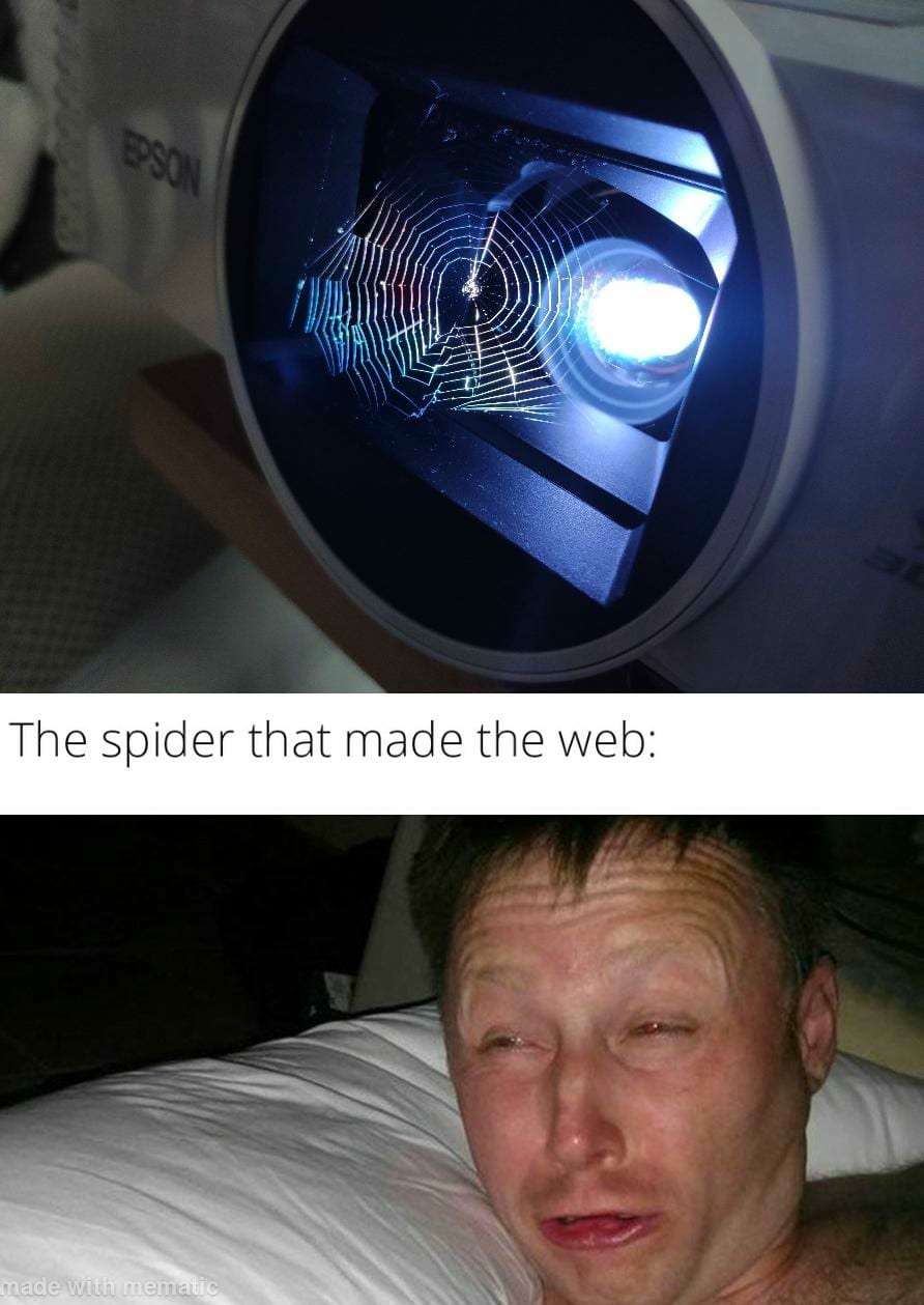 Limmy waking up meme made the web