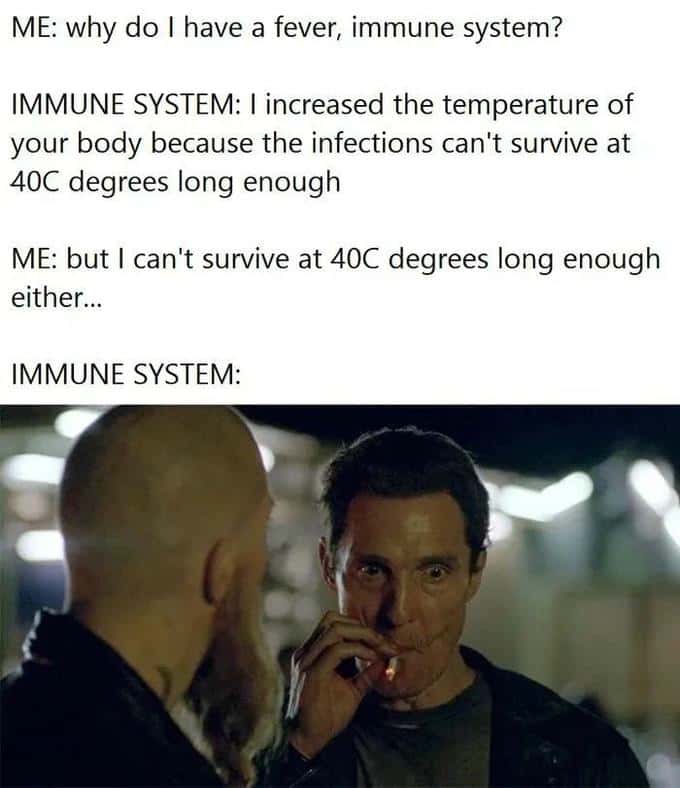 Matthew McConaughey smoking meme immune system ignores your fever