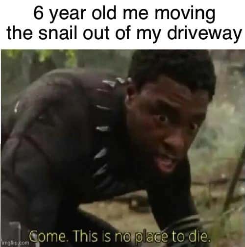 Black Panther Meme: 6 year old me moving snail out of driveway