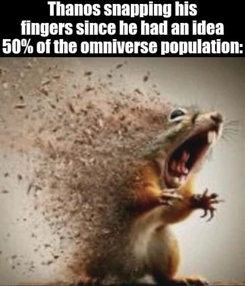 Squirrel disintegrating meme vanishes after thanos snaps fingers