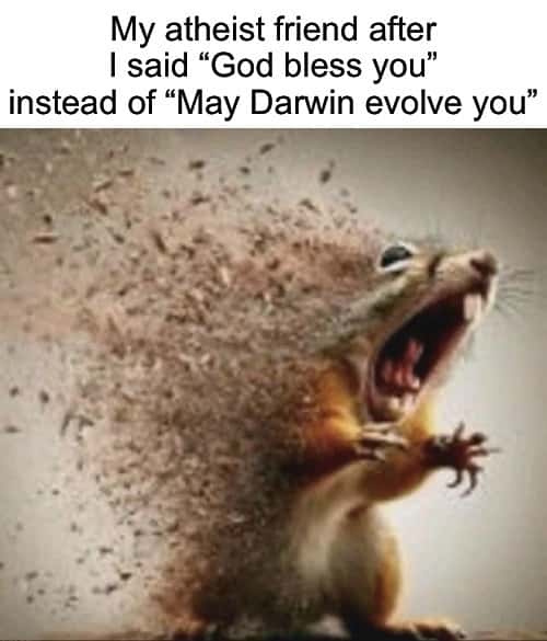 Squirrel disintegrating meme atheist friend rages at god bless you