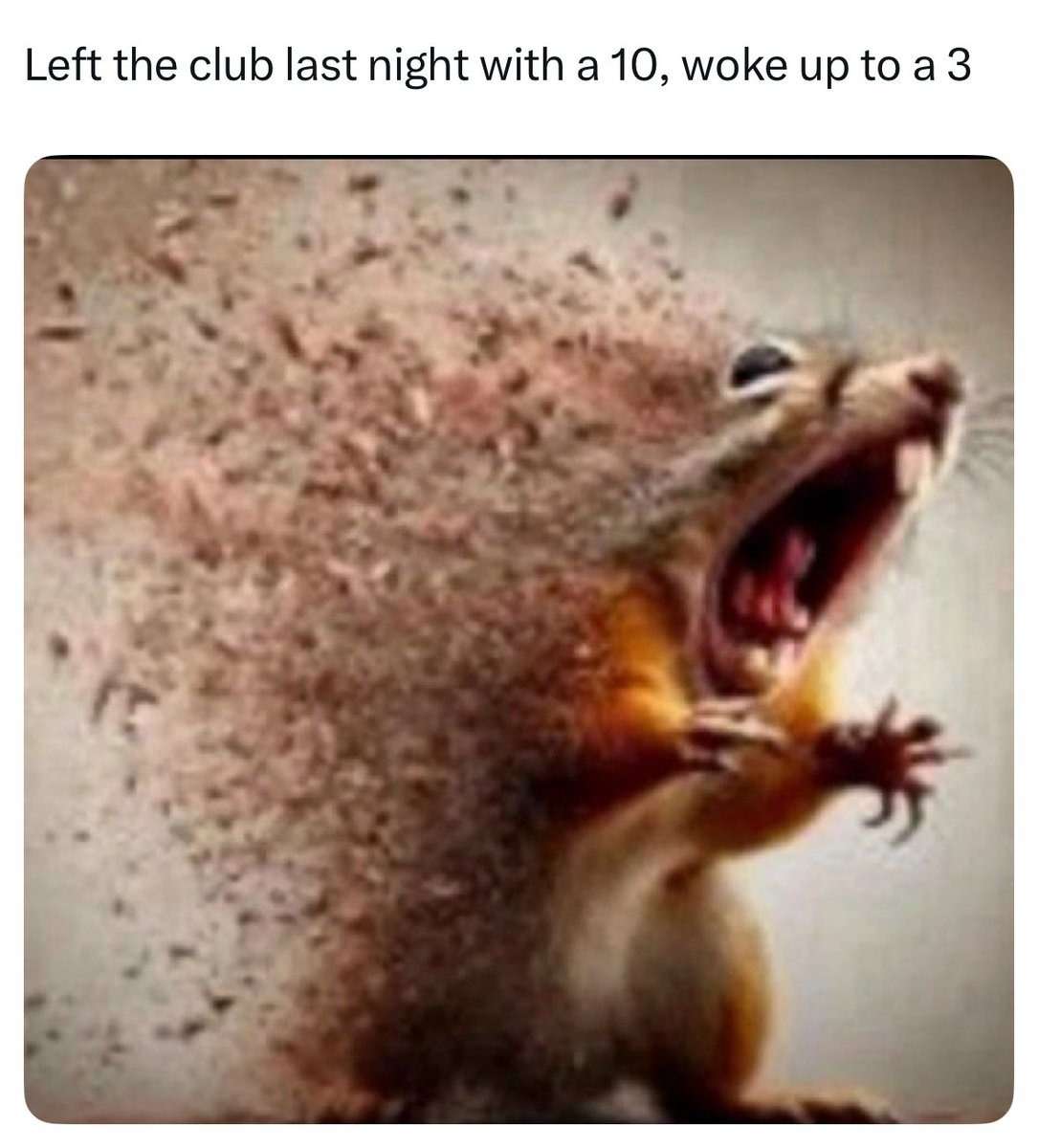 Squirrel disintegrating meme left club with 10 woke up to a 3