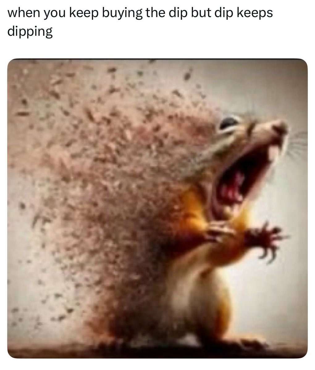 Squirrel disintegrating meme buying the dip but dip keeps dipping