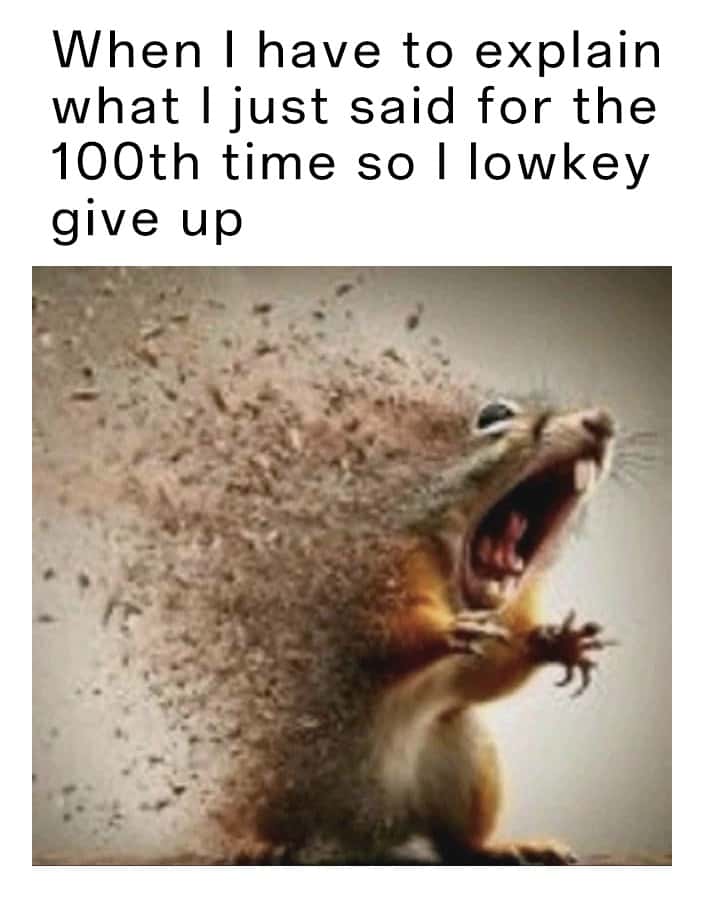 Squirrel disintegrating meme give up after explaining 100 times