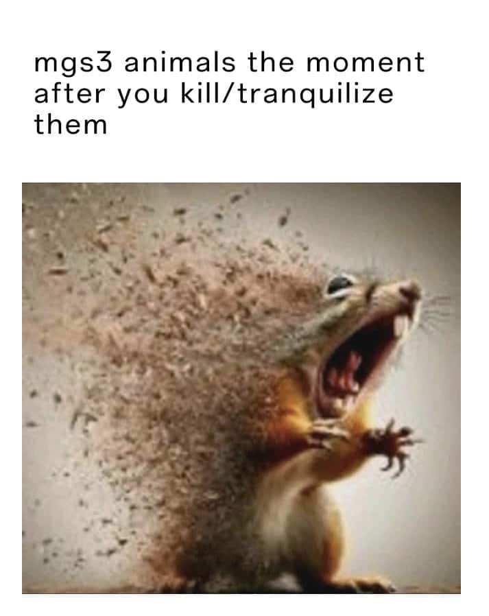 Squirrel disintegrating meme mgs3 animals after you kill them