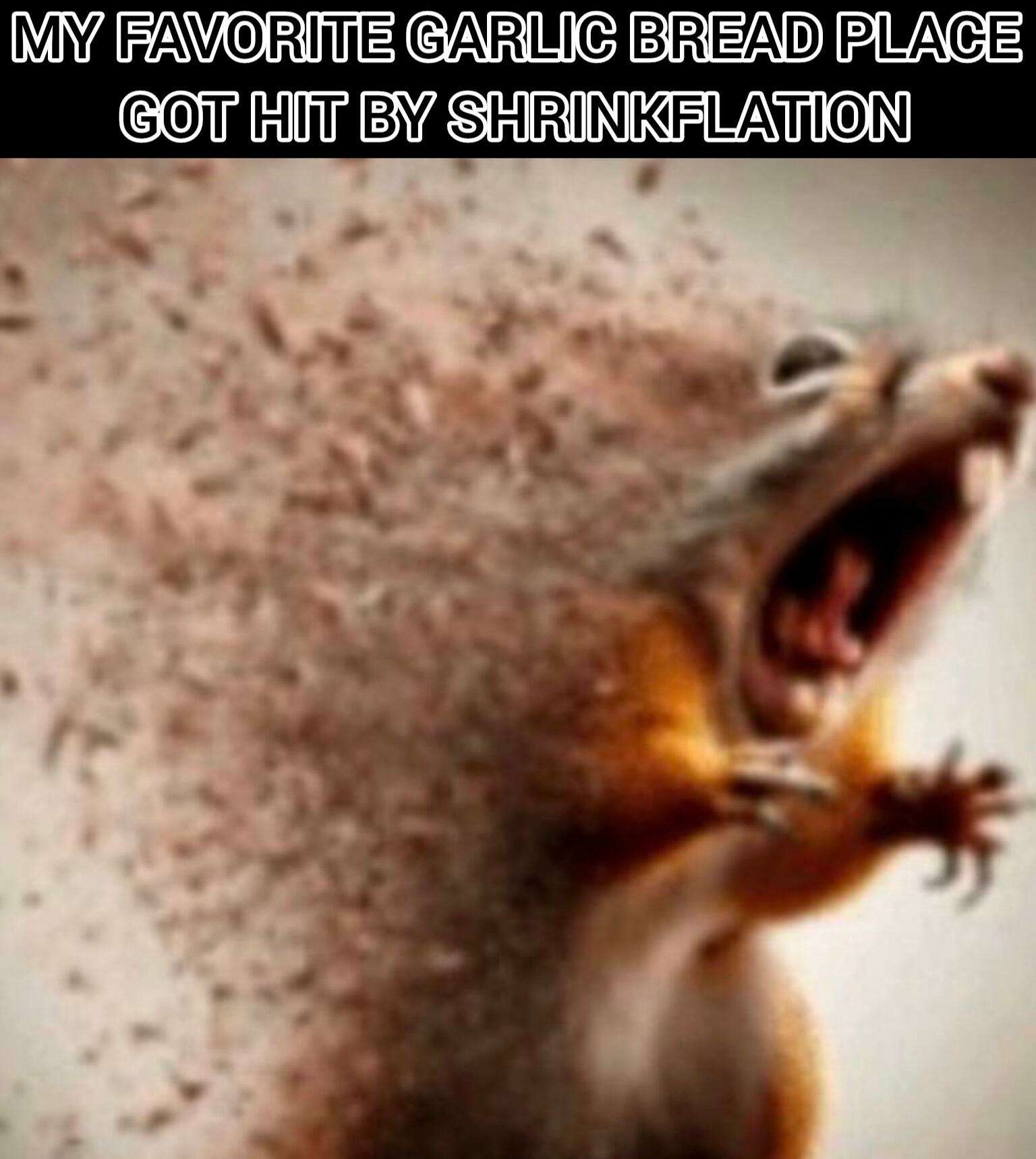 Squirrel disintegrating meme upset at garlic bread shrinkflation