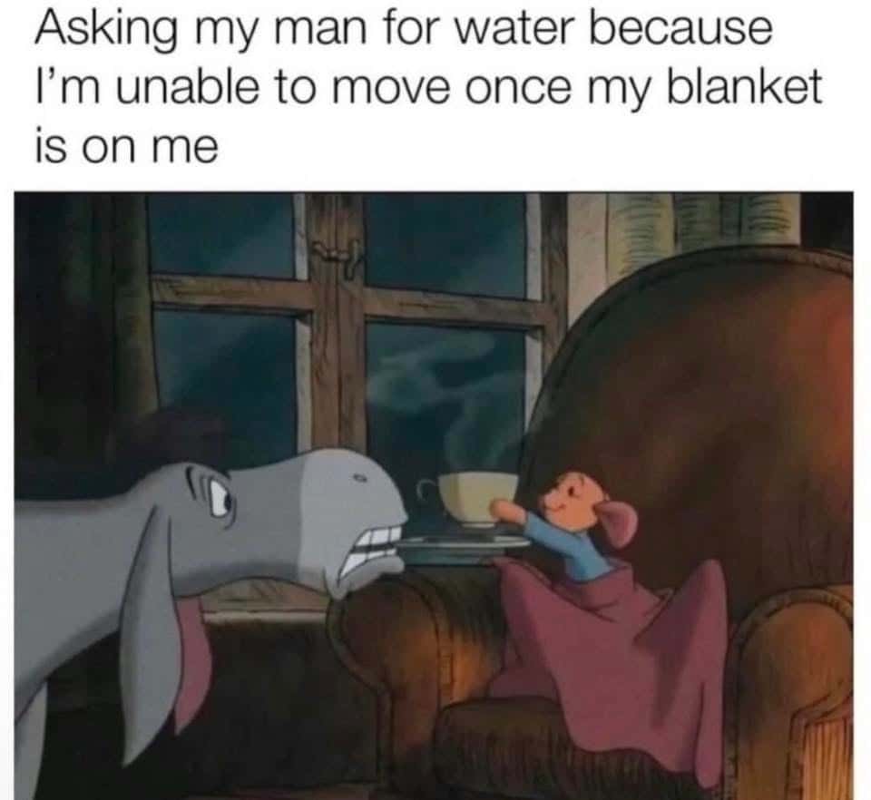 Donkey Cartoon Character Reacts to Woman Blanket Dependency