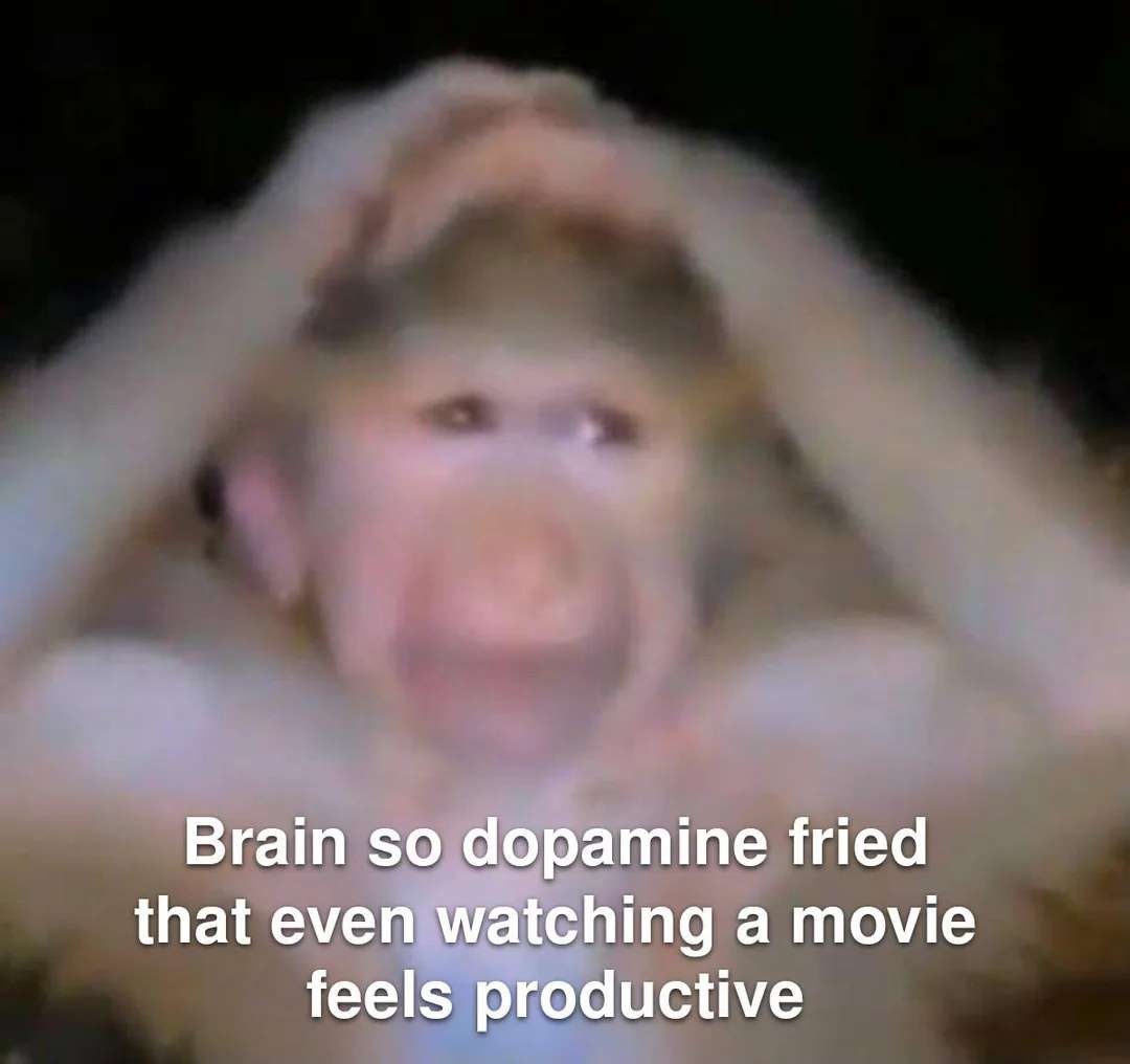 Brain So Dopamine Fried That Watching Movie Feels Productive Meme
