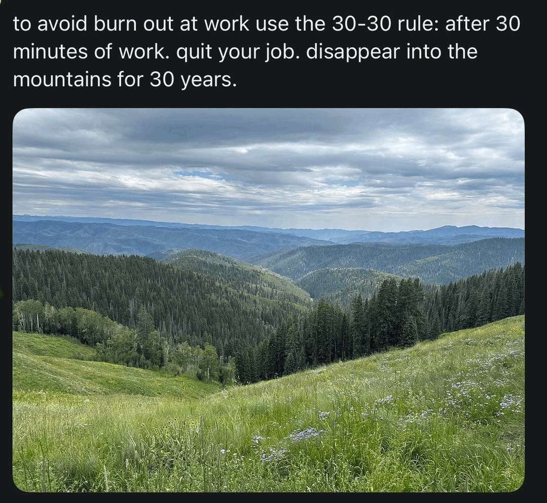 Burnout Meme: To avoid burn out at work use the 30-30 rule
