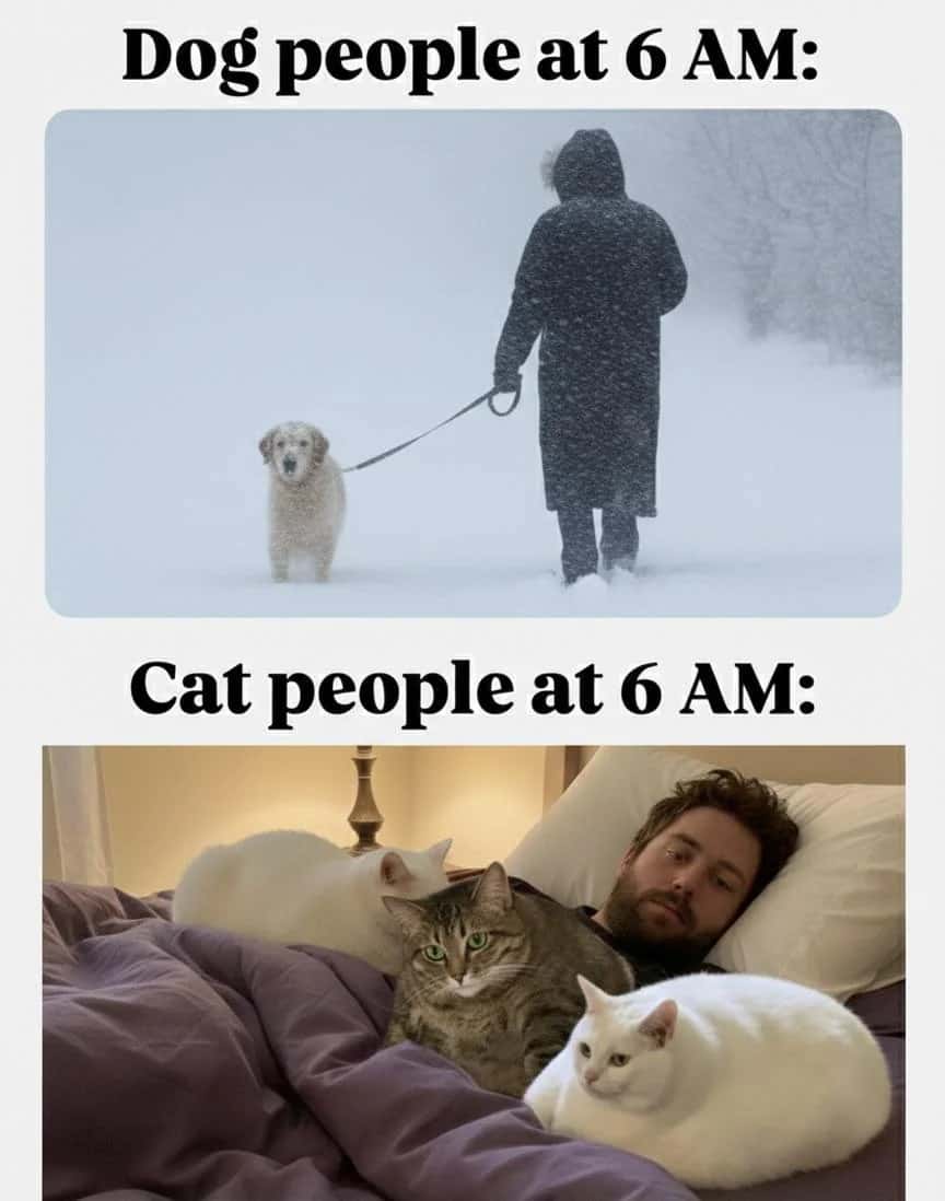 Pet Owners Meme: Dog People vs Cat People at 6 AM