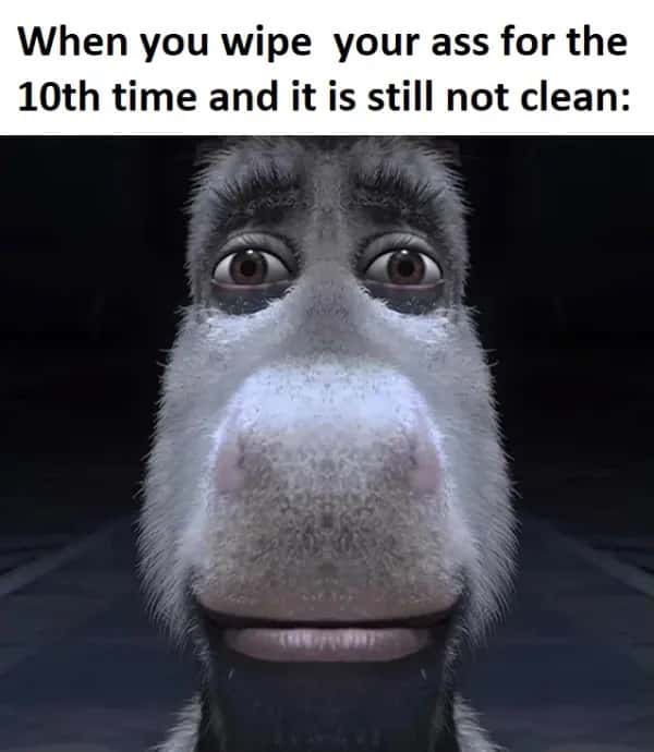Donkey staring meme wiping ass still unclean
