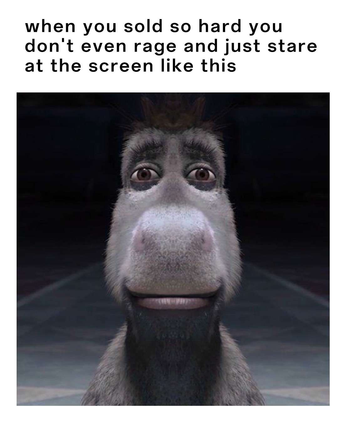 Donkey Staring meme no rage staring at screen