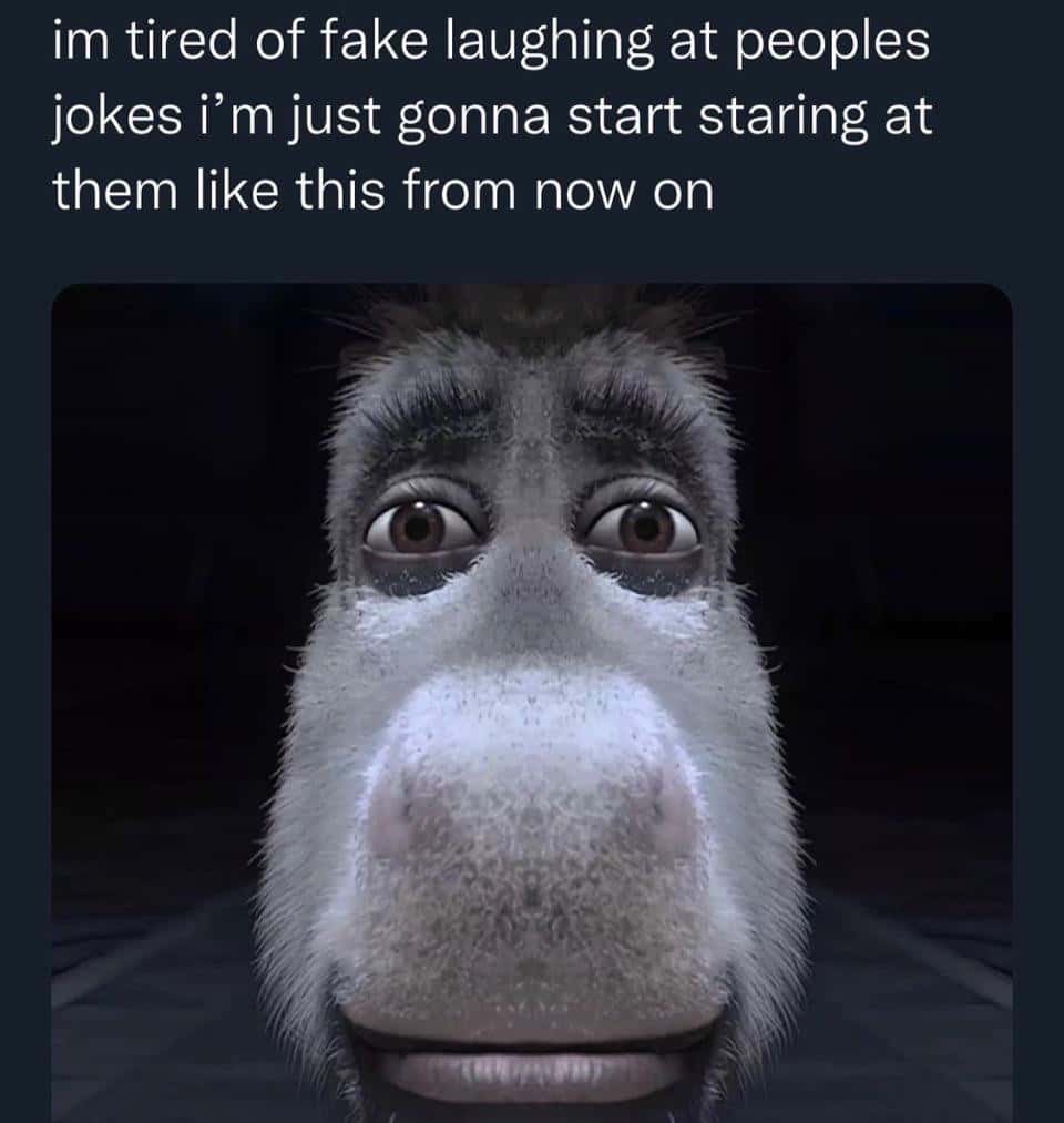 Donkey Staring meme no more fake laughing