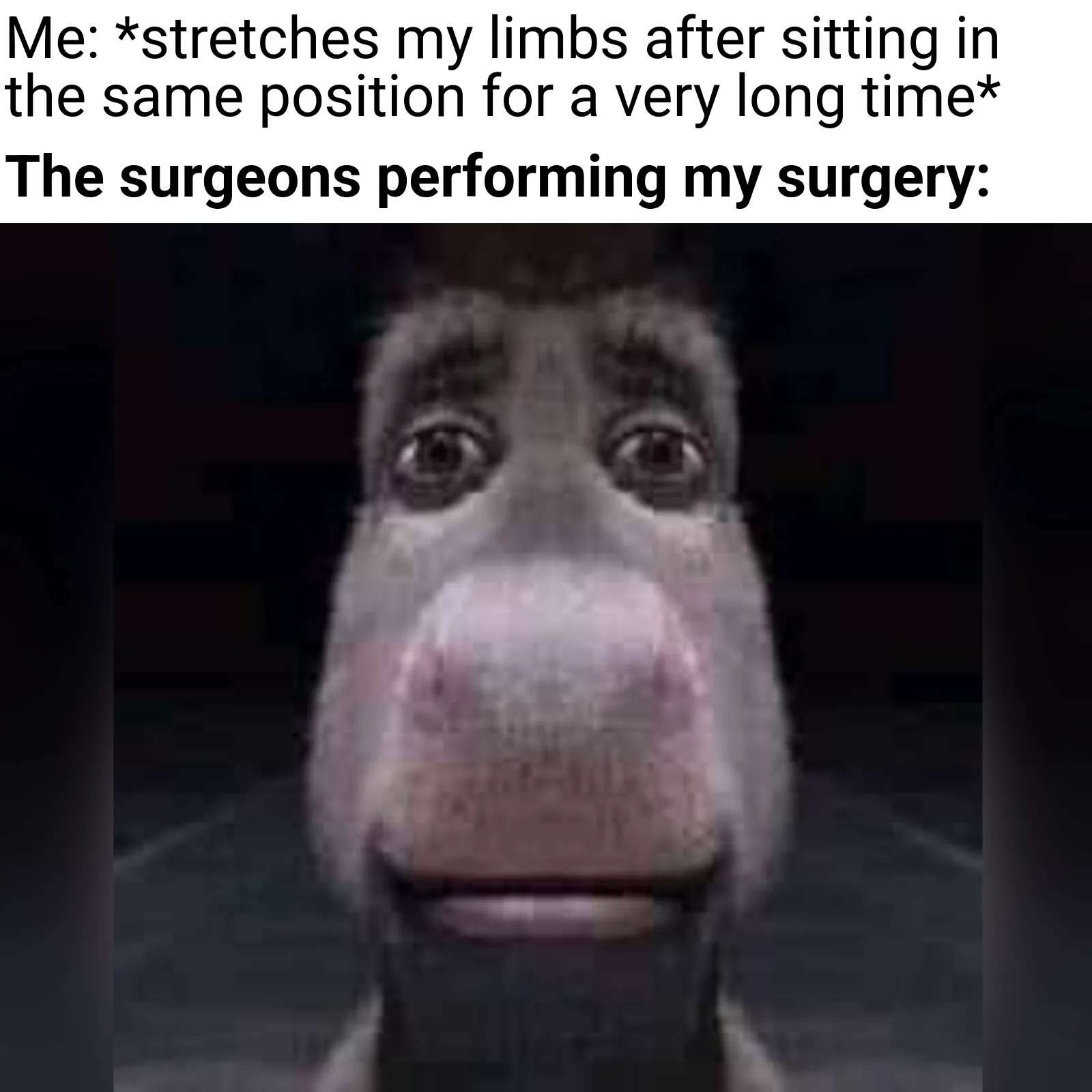 Donkey Staring meme watching you stretch during surgery