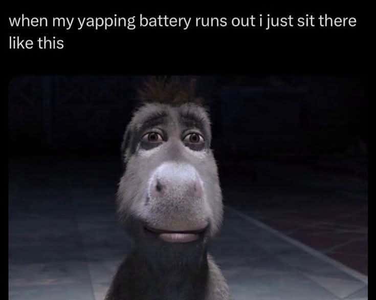 Donkey staring meme sitting there when yapping battery runs out