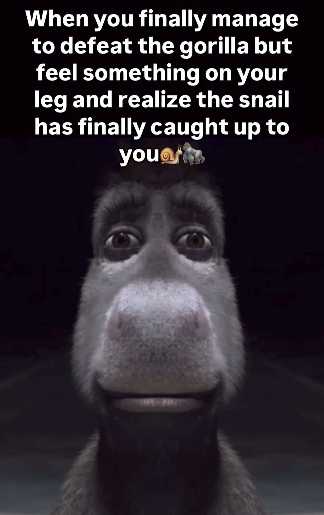 Donkey staring meme beat gorilla then snail catches up