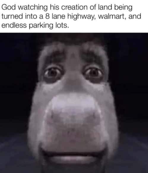 Donkey staring meme watching land turned into highway walmart parking lots