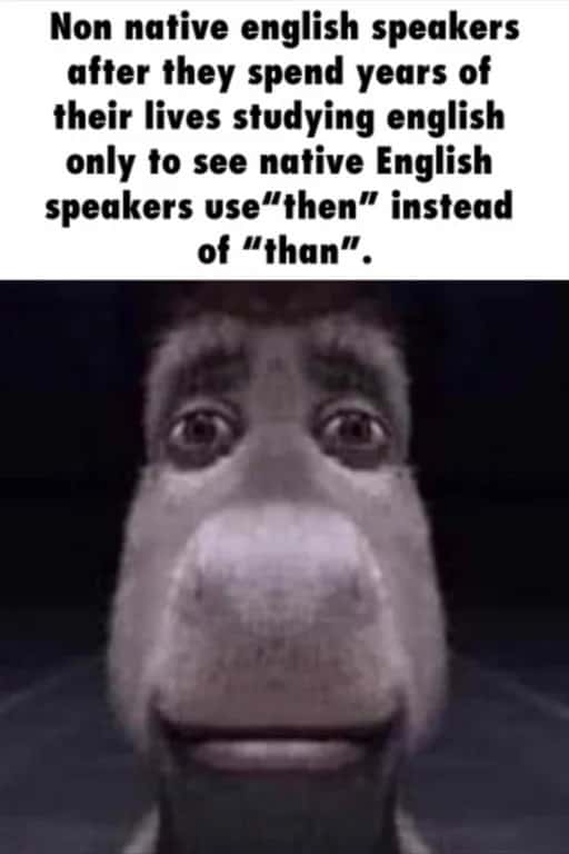 Donkey staring meme shocked at then than grammar misuse