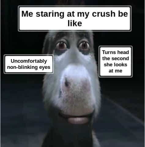 Donkey staring meme staring at crush then turning away
