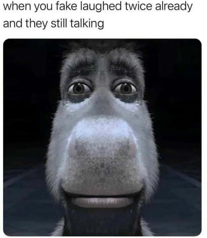 Donkey staring meme fake laughed twice while they still talking