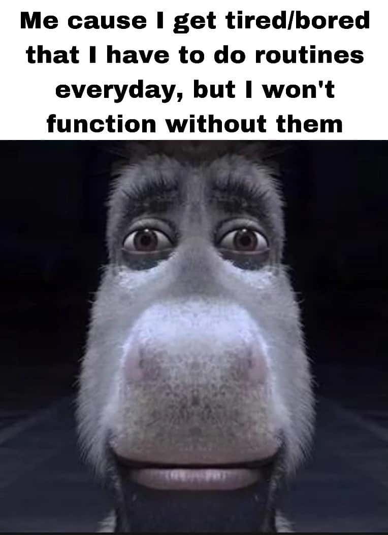 Donkey staring meme tired of routines but can't function without them