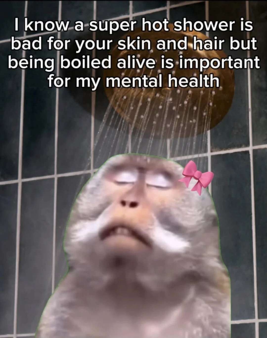 Monkey Shower Meme: "Boiled Alive" For Mental Health Context