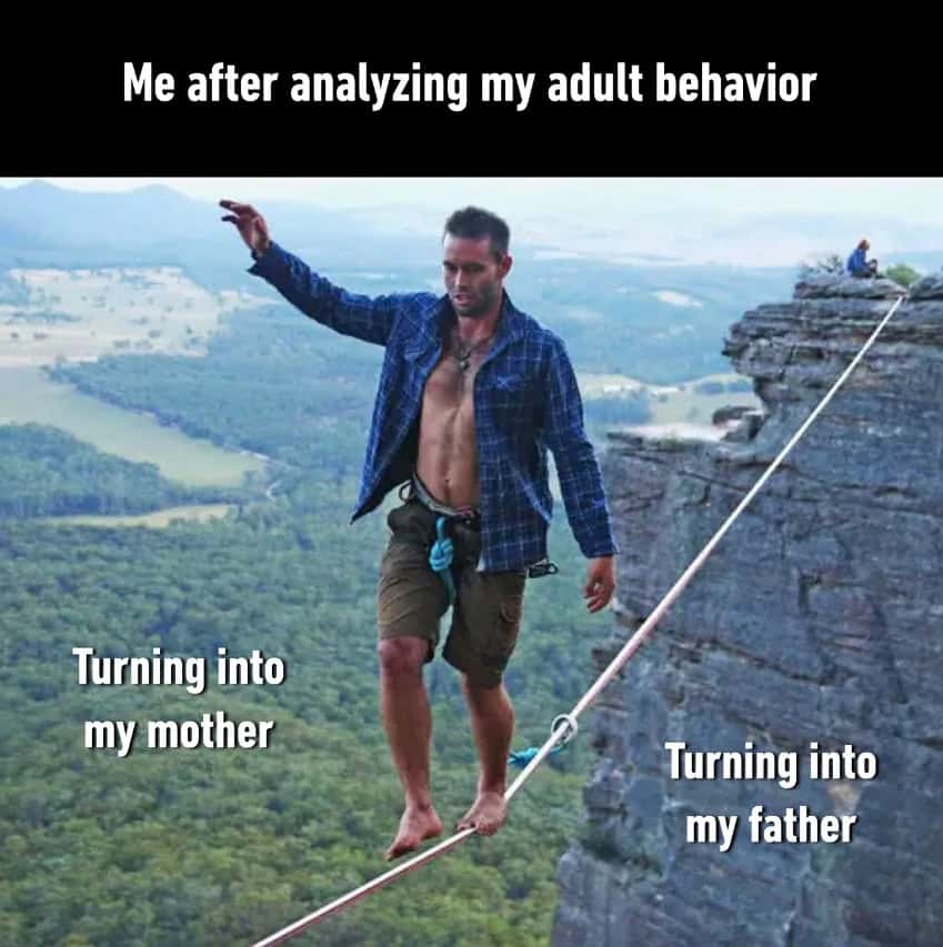Adult Meme: Me after analyzing my adult behavior