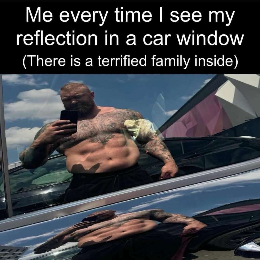 Car Window Reflection Terrified Family Meme