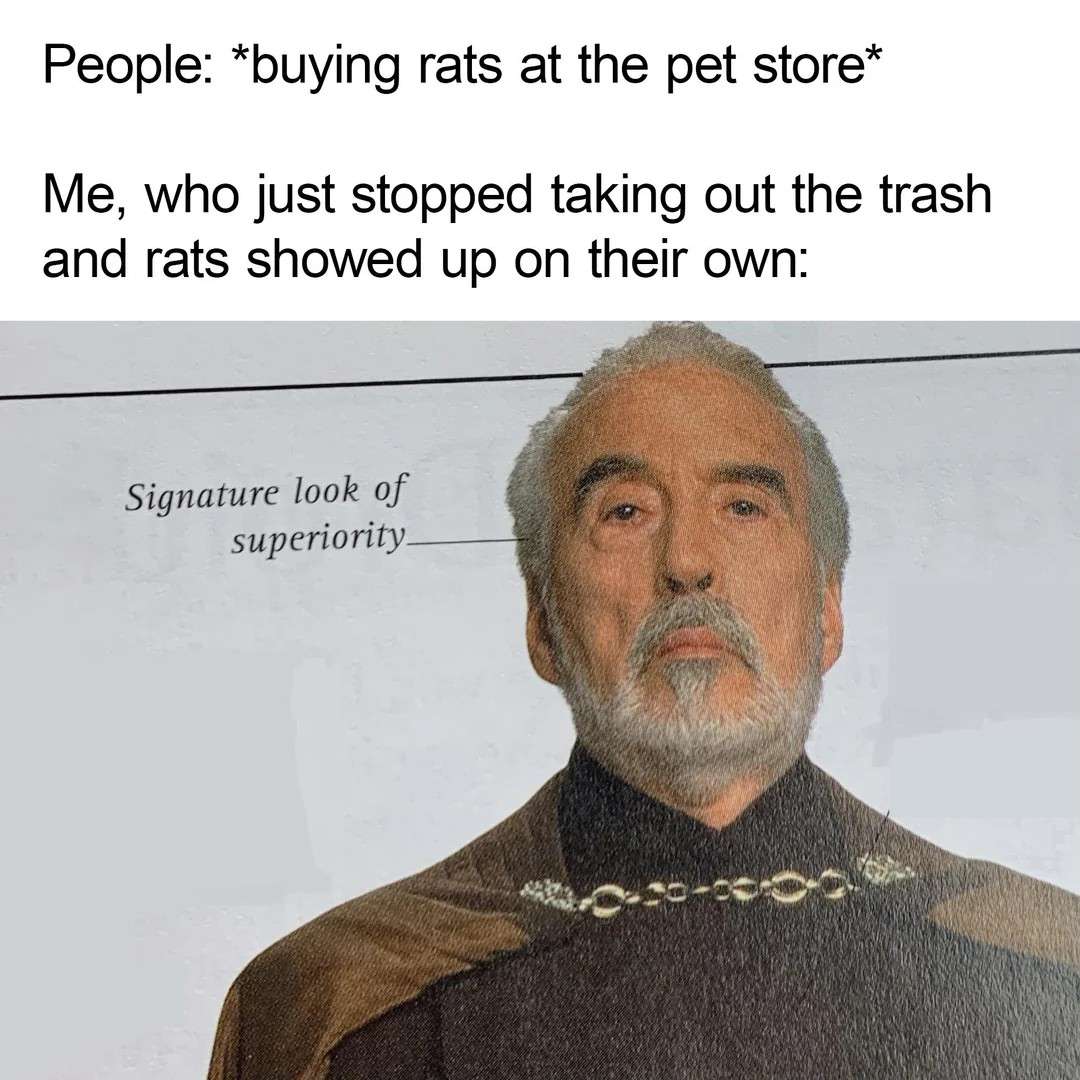 Trash And Rats Meme: I’m Not Even Trying