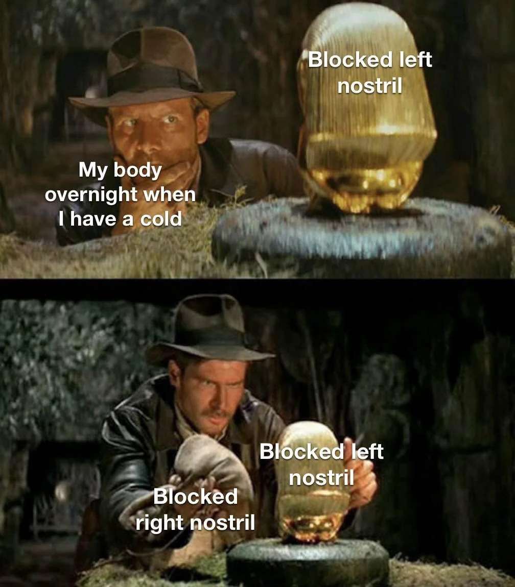 Funny Cold Symptom Meme With Indiana Jones
