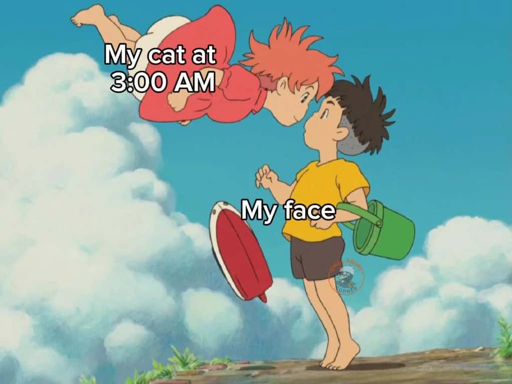Ponyo Meme: My Cat At 3:00 AM Vs My Face