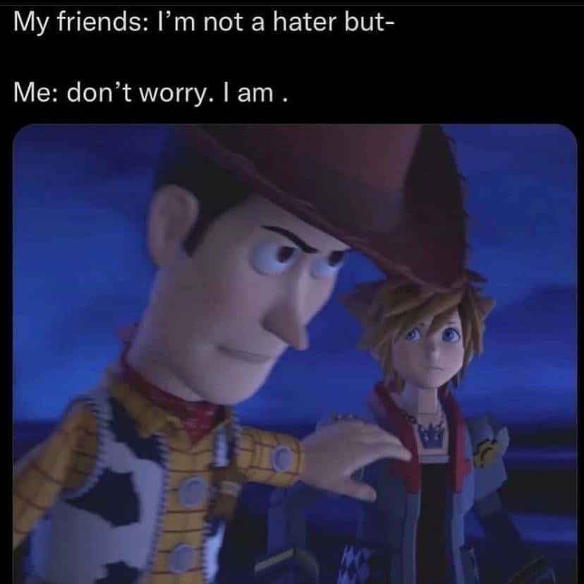 Woody Meme: Friends say not hater but I am