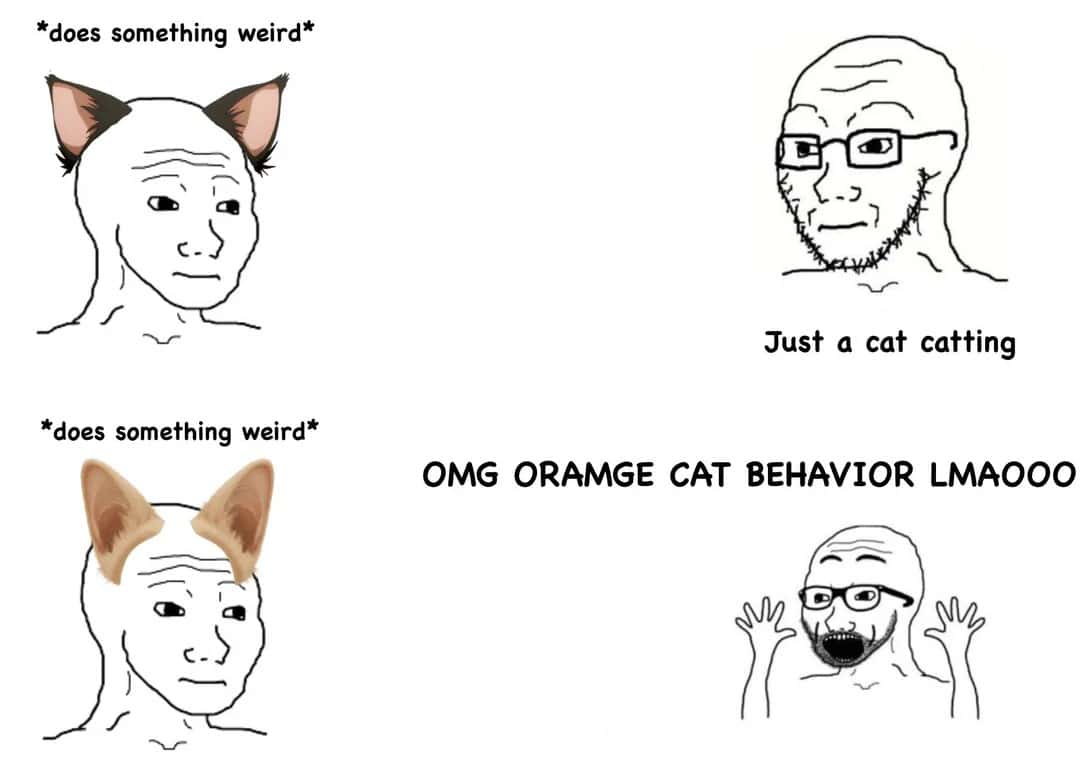 Wojak Orange Cat Meme For Strange Behavior