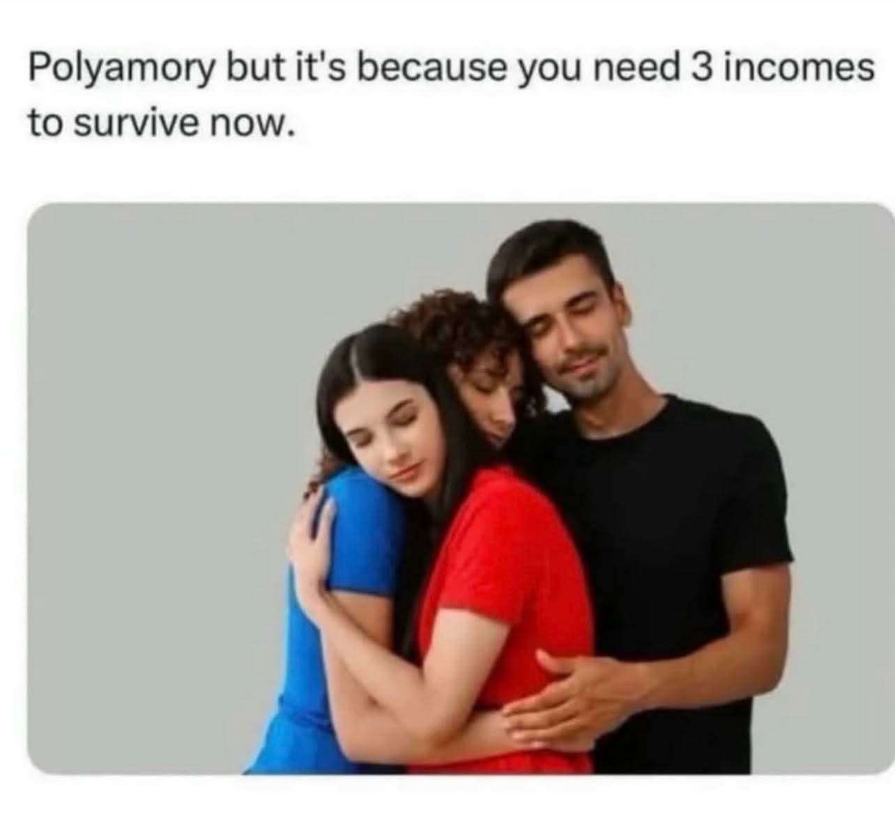 Relatable Inflation Meme: Polyamory As Financial Solution
