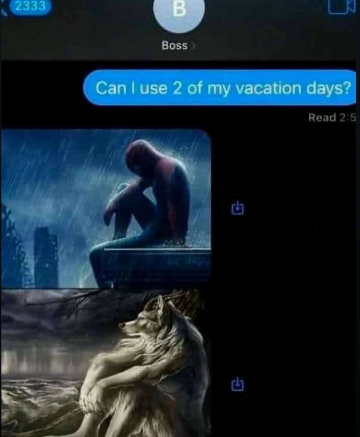 Sitting Wolf meme asking boss for vacation days