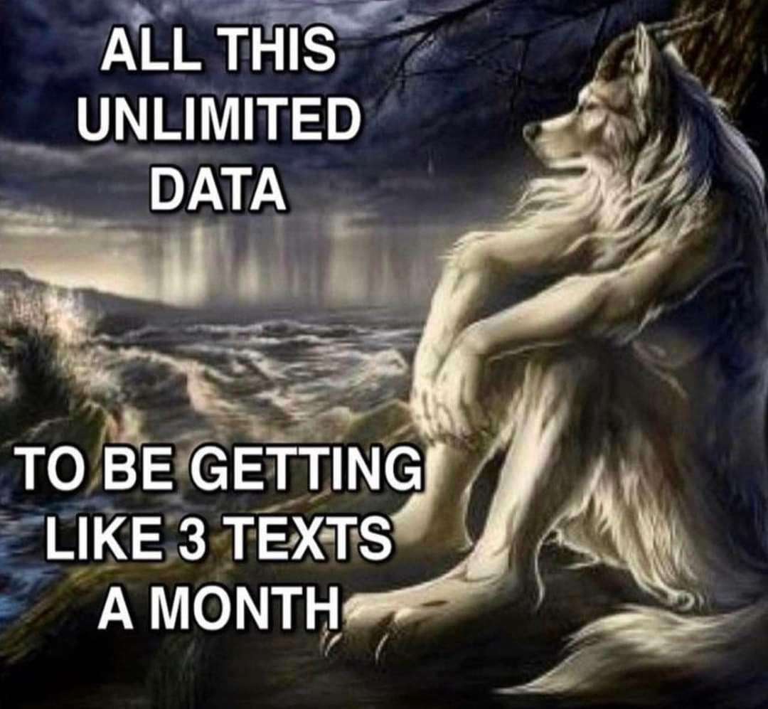 Sitting Wolf meme sad over unlimited data few texts