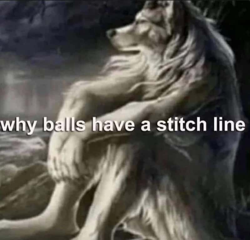 Sitting Wolf meme pondering balls stitch line