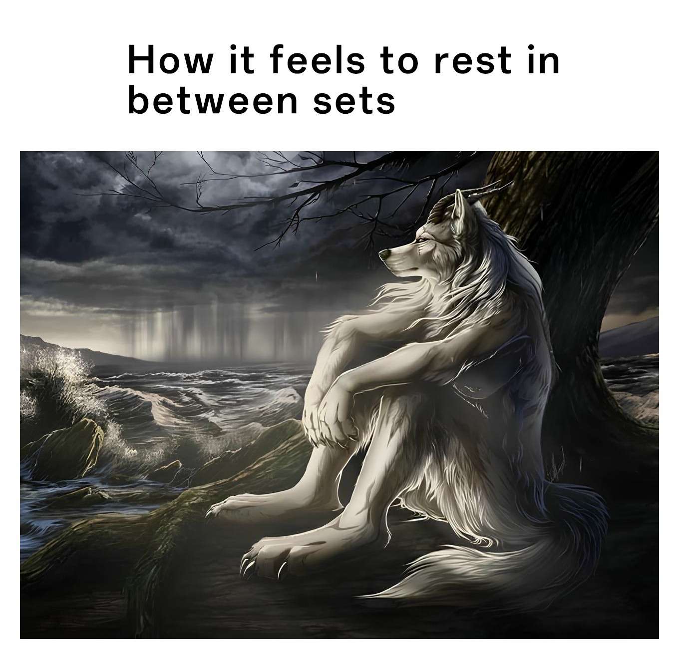 Sitting wolf meme rest between sets