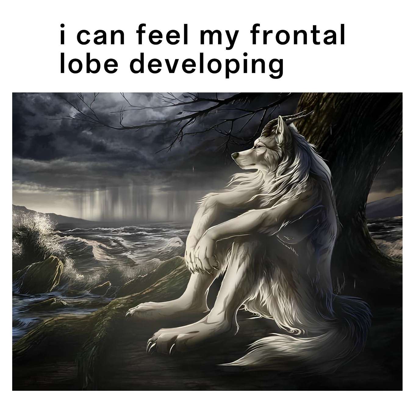 Sitting wolf meme developing frontal lobe