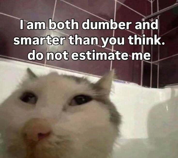 Funny Cat Meme: I Am Both Dumber And Smarter Than You Think