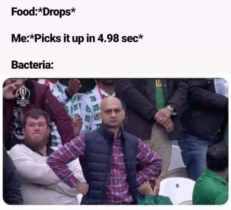 Food:*Drops* / Me:*Picks it up in 4.98 sec* / Bacteria